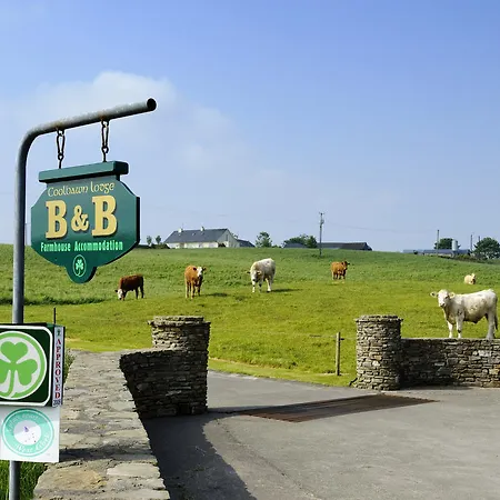 Bed & Breakfast Coolbawn Farmhouse 4*